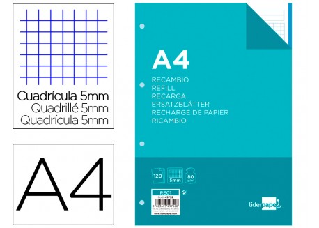 Liderpapel recambio 120 hojas 80 gr. 