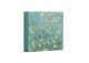 Hoffmann  album almendro en flor Van Gogh