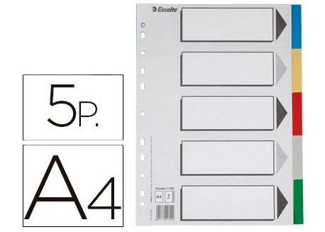 Esselte separadores de colores A4 polipropileno